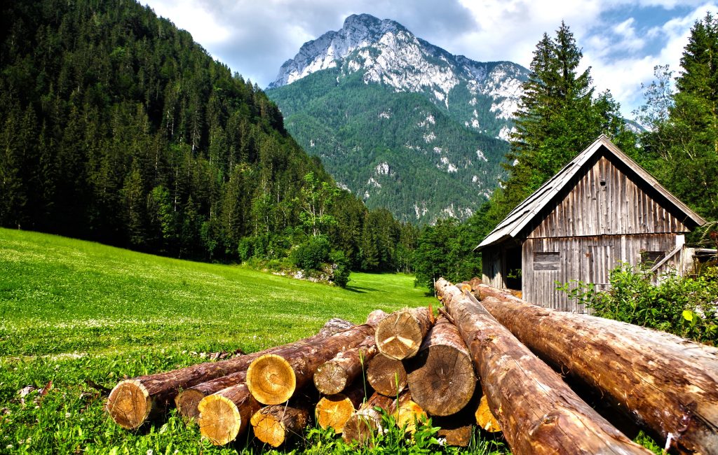 Discover Nature With Your Mitsubishi 3 State Parks To Visit Near 