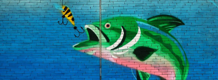 3 Favorite Fishing Spots In Driving Distance Of Chapmanville WV 