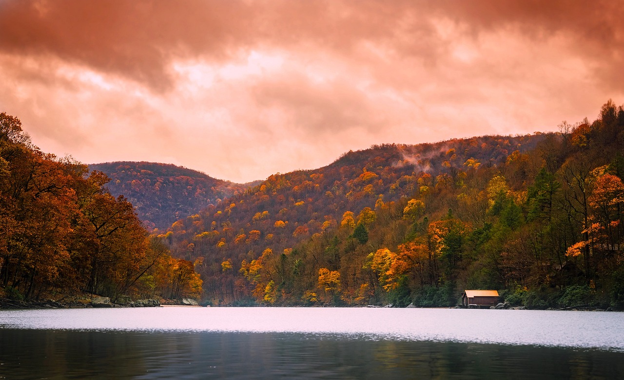 Beautiful yellow and orange trees overlooking a West Virginia lake during the fall season